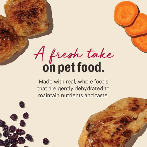 Vista 4 de The Honest Kitchen Alimento integral de pollo deshidratado sin granos, receta de grado humano con probióticos y pollo sin jaula, soporte digestivo
