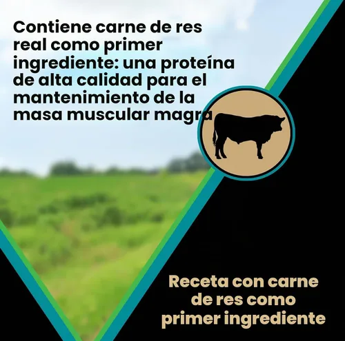 Vista 6 de VICTOR Classic - Hi-Pro para raza pequeña adulta, 5 libras Real Beef 1st Ingredient, Small Breed Bite-Sized Kibble, Immune & Digestive Support