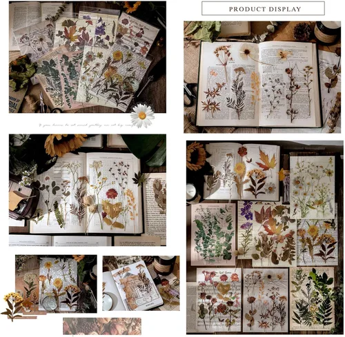 Vista 3 de Maxleaf Calcomanías de la Serie Botánica, 80 Calcomanías Grandes de Flores Secas Impermeables Transparentes, Calcomanías Florales de Plantas