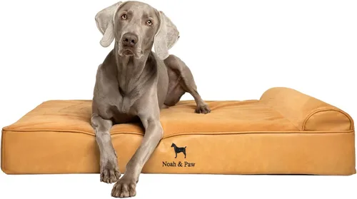 Vista 27 de NOAH & PAW Cama pequeña para perros, 20 x 15 x 6.5 pulgadas, cama para gatos de interior, espuma viscoelástica ortopédica de cáscara de huevo Verde