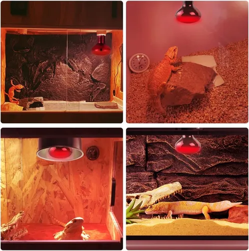 Vista 5 de LUCKY HERP Lámpara de Calor Infrarroja 50W Paquete de 2, Bombillas de Luz de Punto de Sol para Reptiles y Anfibios, Bombillas de Lámpara de Calor