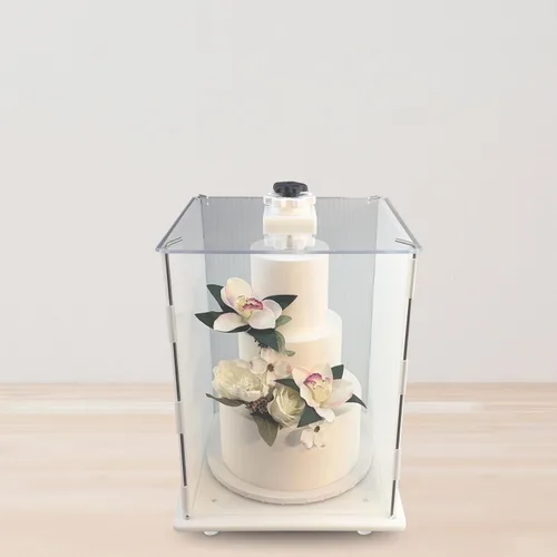 Vista 5 de CAKESAFE Transportador de pasteles Itsy Tall reutilizable, de plástico