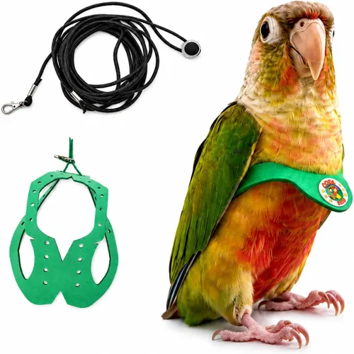 Vista 15 de Juego de arnés ajustable y correa para pájaros pequeños, apto para periquitos, conures, cacatúas, mejillas verdes, loros cuáqueros (verde, XS) 6350-6