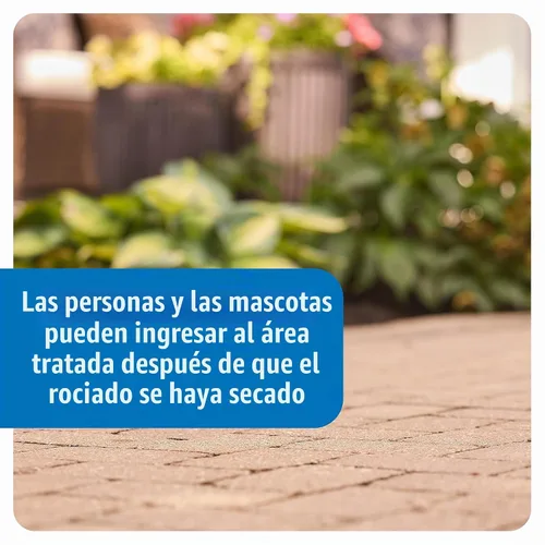 Vista 8 de Roundup - Eliminador de malezas y hierba de doble acción más concentrado preventivo de 4 meses