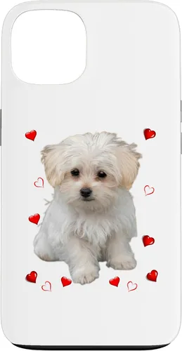 Vista 7 de Funda para iPhone 11 Maltipoo Mix Fans para amantes de los perros maltés