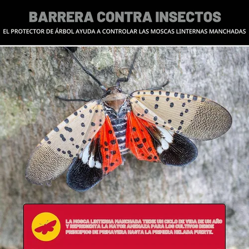 Vista 7 de Catchmaster Tree Shield - Trampa para moscas y hormigas, barrera de insectos, 12 rollos de 30 pies cada uno, trampa de insectos para gatear