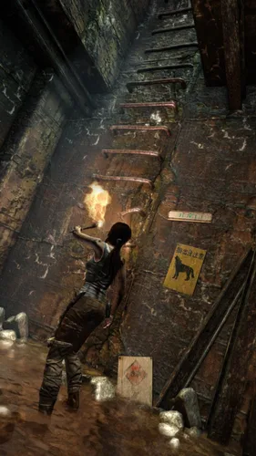 Vista 30 de Tomb Raider