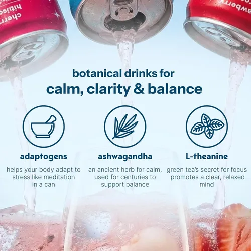 Vista 5 de Moment Adaptogen Drink (Shark Tank), bebidas no alcohólicas no carbonatadas, clásicas, L-teanina y ashwagandha para calma y claridad, 0 azúcar