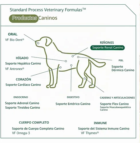 Vista 5 de Proceso estándar - Soporte renal canino - Salud renal para perros - 3.88 oz
