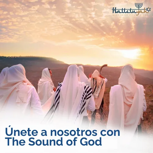 Vista 3 de Shofar de cuerno Kudu de Israel con soporte decorado por HalelluYAH