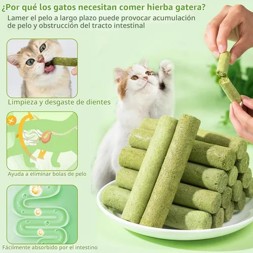 Vista 5 de Palitos de dentición de hierba natural para gatos, palillo masticable para eliminar bolas de pelo