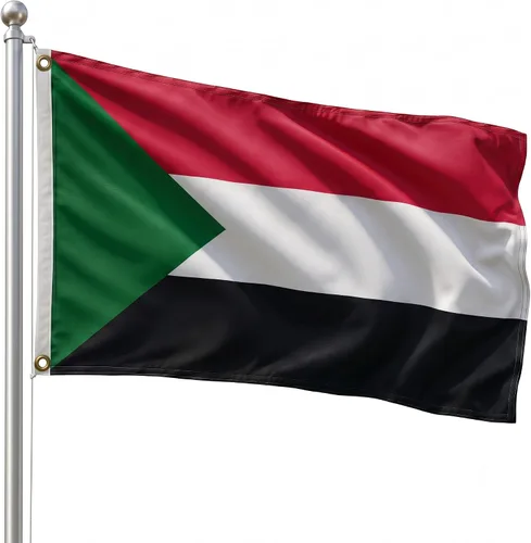 Vista 17 de DMSE - Bandera nacional beninesa beninesa de la República de África Occidental, 2 x 3 pies, 100 % poliéster, 100 % poliéster, resistente a los rayos