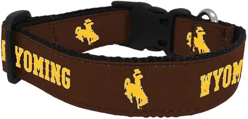 Vista 62 de Collar de Perro Universitario (Pequeño, Fuerza Aérea)