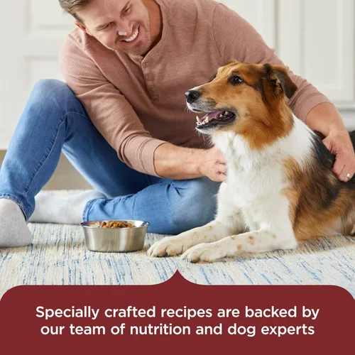 Vista 6 de Nutrish Rachael Ray - Alimento seco para perros adultos, receta de carne de res, guisantes y arroz integral, bolsa de 5 libras