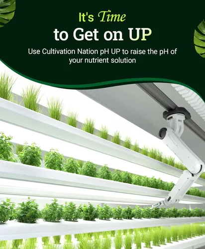 Vista 5 de FoxFarm Cultivation Nation pH UP for Plants' Nutrient Solutions - Formulado con hidróxido de potasio para ajuste - Ideal para suelos e hidroponía