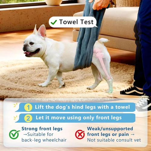 Vista 8 de Silla de ruedas para perros para patas traseras, altura/longitud/ancho ajustable, silla de ruedas resistente con ruedas que absorben los golpes