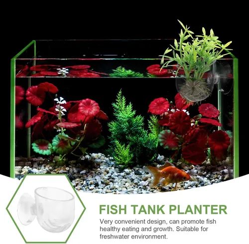 Vista 5 de Ipetboom 4 piezas de macetas colgantes para acuario con gusanos rojos, tazas para plantas acuáticas, soporte para camarones acuáticos, decoración