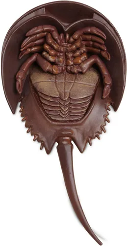 Vista 4 de Safari Ltd. Figura de cangrejo herradura – Figura detallada de plástico de 7 pulgadas – Divertido juguete educativo para niños, niñas y niños a