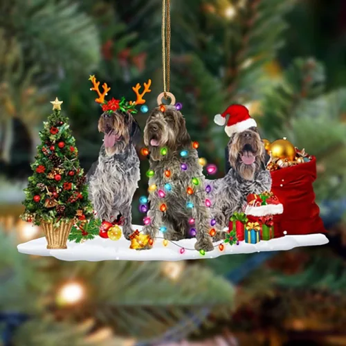 Vista 121 de Nazenti Adorno de Navidad personalizado con amigos Affenpinscher – Adorno de perro personalizado para amantes de las mascotas, acrílico plano