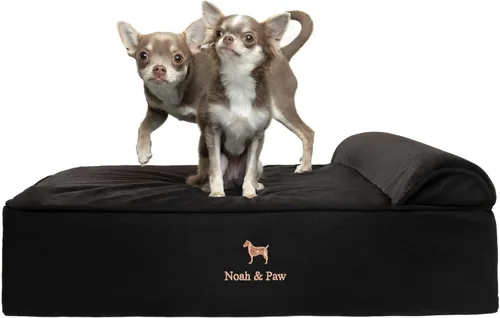 Vista 25 de NOAH & PAW Cama pequeña para perros, 20 x 15 x 6.5 pulgadas, cama para gatos de interior, espuma viscoelástica ortopédica de cáscara de huevo Verde