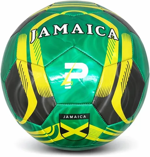 Vista 15 de Balón de Entrenamiento de Fútbol de País: Edición Mundial