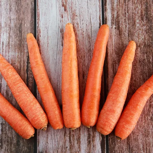 Vista 7 de Big A Fertilizante de zanahoria y fertilizantes de raíces - Fertilizante premium para zanahorias y huerto - Alimento orgánico para plantas
