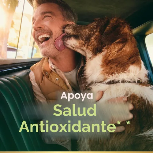 Vista 2 de Nature's Bounty Cápsulas blandas de vitamina E de 1000 UI, apoya la salud antioxidante y el sistema inmunológico, 1 porción por día, sin gluten, 60