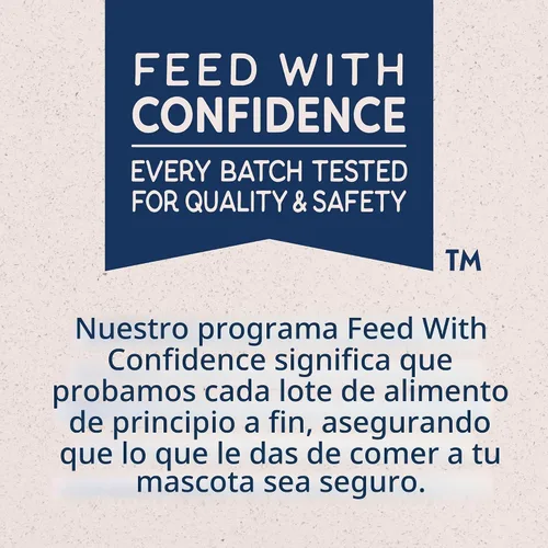 Vista 4 de Natural Balance comida enlatada para perros con ingredientes limitados para adultos con granos saludables, receta de carne de res y arroz integral