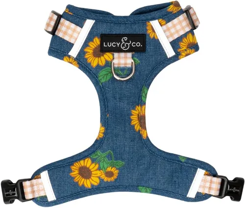 Vista 31 de Lucy & Co. Appley Ever After - Arnés de pana para perro, sin tirones, talla Appley Ever After Corduroy