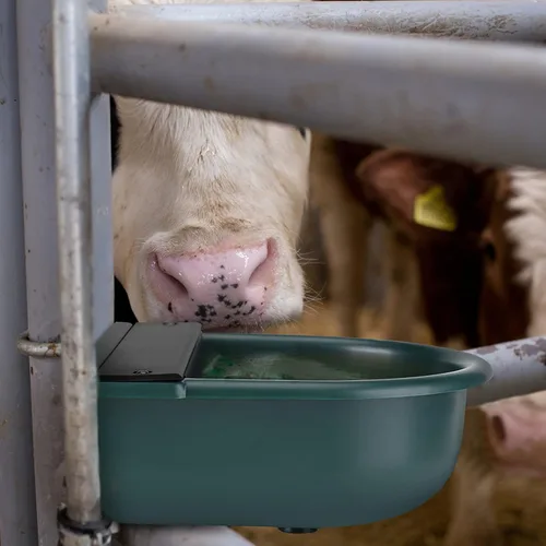 Vista 4 de GOTOTOP Dispensador automático de agua para mascotas, 4L de gran capacidad para gatos, cabras, caballos