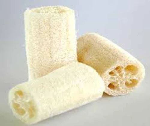 Vista 6 de Semillas de calabaza Luffa, semillas de esponja de calabaza Luffa, 100 semillas, sin OMG, cultiva tus propias calabazas Luffa y descubre aún más