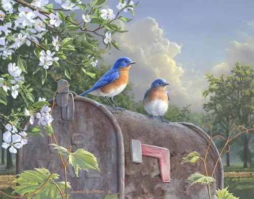Vista 28 de Ledgebay Pintura por números, para adultos, de principiantes a avanzados, divertidos proyectos de arte y manualidades, Rompecabezas de huerta, 16 x