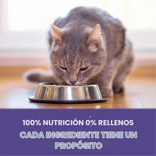 Vista 7 de Purina ONE Alimento natural para gatos para control de bolas de pelo, fórmula +PLUS Hairball - Bolsa de 22 libras