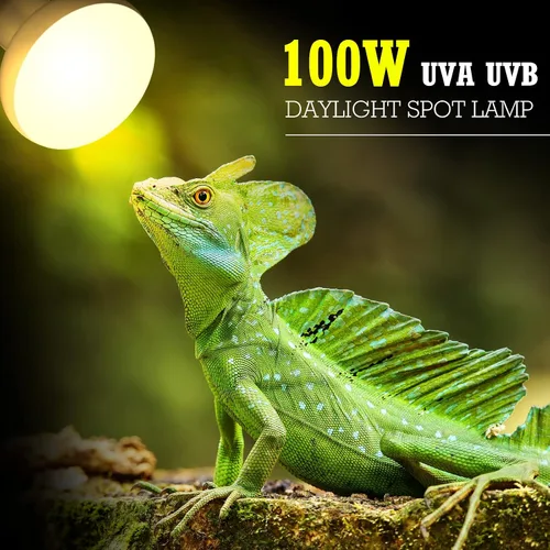 Vista 6 de Tarpop 8 bombillas de lámpara de calor para reptiles de 100 W, bombillas