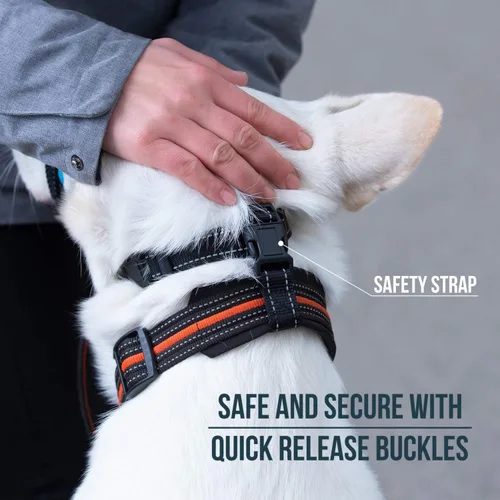 Vista 5 de GoodBoy Cabestro de cabeza de perro con correa de seguridad – Detiene los tirones pesados de la correa – Collar acolchado para perros pequeños