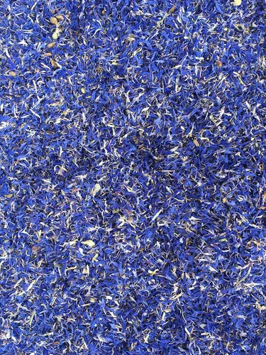 Vista 7 de Pétalos de aciano azul puro – 100% orgánicos, secos, cultivados en Alemania – Flores de hierbas naturales cultivadas orgánicamente para lactantes