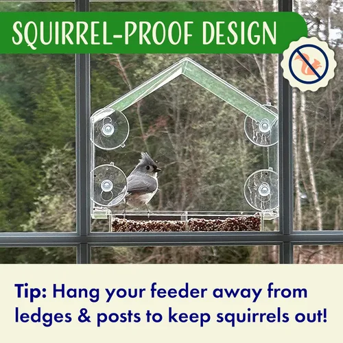 Vista 3 de Comedero para pájaros de ventana con ventosas fuertes, casa transparente