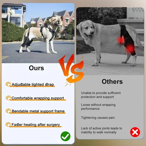 Vista 5 de Rodillera de metal para perro, longitud ajustable con cuerda de tracción usada en la pierna delantera y trasera, cachorros, tallas M, perros