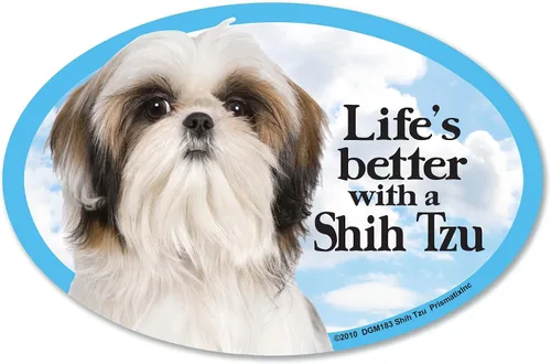 Vista 3 de Shih Tzu - Imanes para coche: Shih Tzu Limo a bordo - Oval de 6 x 4 pulgadas para automóvil/camión/refrigerador/buzón