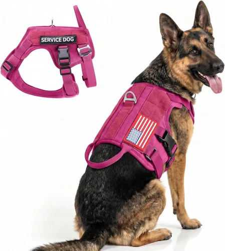 Vista 7 de FAYOGOO - Arnés táctico para perros de raza grande y mediana - Arnés transpirable de malla para perros a prueba de fugas con asa - Chaleco de perro