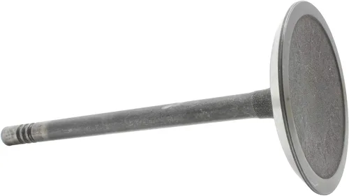 Vista 2 de DNJ Válvula de admisión IV1100 para Chrysler 1999-2012, Dodge, Jeep, Mitsubishi, Ram 1500, Aspen, Commander 3.7L-4.7L V6 12V SOHC 226cid
