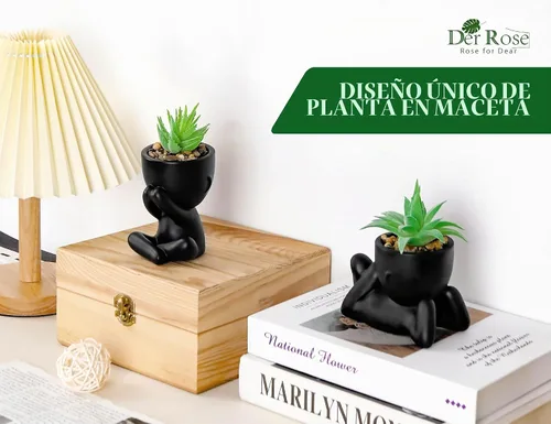 Vista 5 de Der Rose Paquete de 3 plantas suculentas falsas de maceta humana negra para Negro