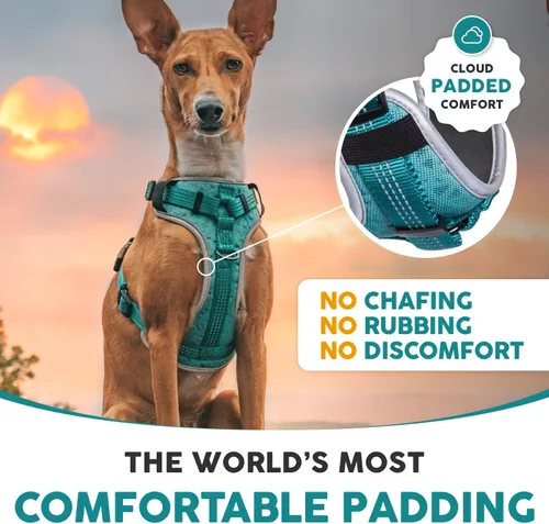 Vista 5 de Embark - Arnés para perro – Chaleco deportivo transpirable sin tirones