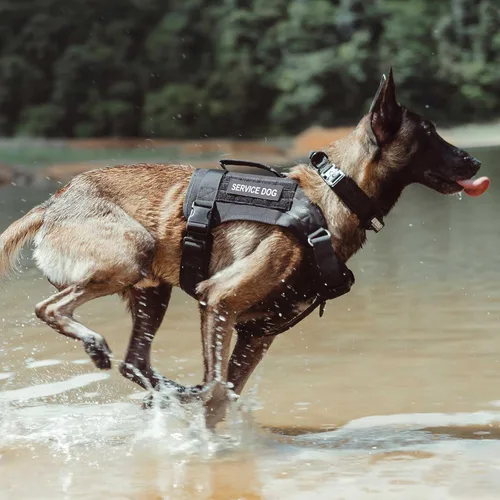 Vista 6 de EXCELLENT ELITE SPANKER Arnés táctico para perro, con asa, arnés militar para perro, arnés ajustable de entrenamiento sin tirones para perros Negro