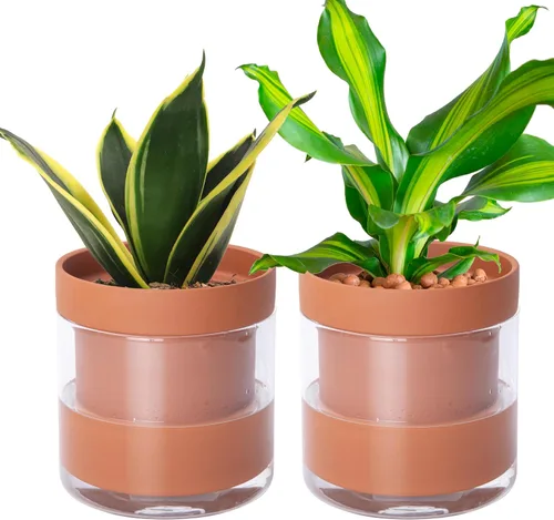 Vista 13 de Phoenix Vine Maceta de riego automático de 4 pulgadas, maceta de arcilla de terracota con depósito de vidrio para plantas de interior, hierbas