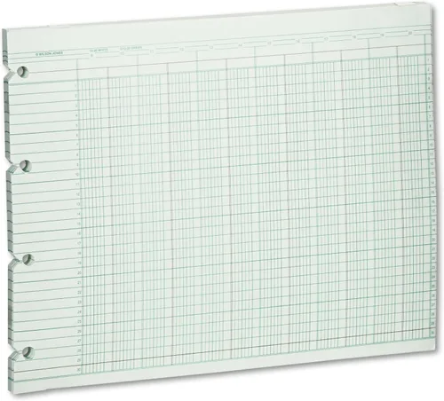 Vista 11 de Wilson Jones Hojas de contabilidad, seis columnas, 9-1/4 x 11-7/8, verde, paquete de 100 hojas sueltas (WLJG106)