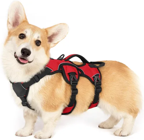 Vista 54 de rabbitgoo - Arnés para perros a prueba de fugas, arnés para mascotas acolchado y suave de cuerpo completo, arnés reflectante ajustable sin tirones