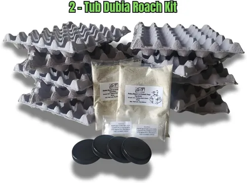 Vista 2 de G&T Country Living Dubia - Kit de cría de cucarachas de 2 tinas (insectos no incluidos), juego de iniciación doble con 2 libras de alto contenido