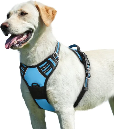 Vista 73 de Eagloo Arnés para perro pequeño, sin tirones, chaleco de servicio con tiras reflectantes y asa de control, ajustable y cómodo para caminar, arnés