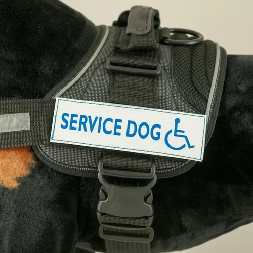 Vista 7 de EzyDog Insignia lateral – Identifica claramente a tu perro cuando llevas el arnés para perro Convert – Juego de dos insignias (Adopt Me, S)
